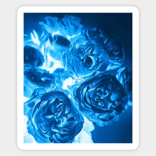 Cyanotype Photography Blue Roses Alternative Process Sticker